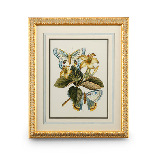 Butterfly Oasis IV - 386098