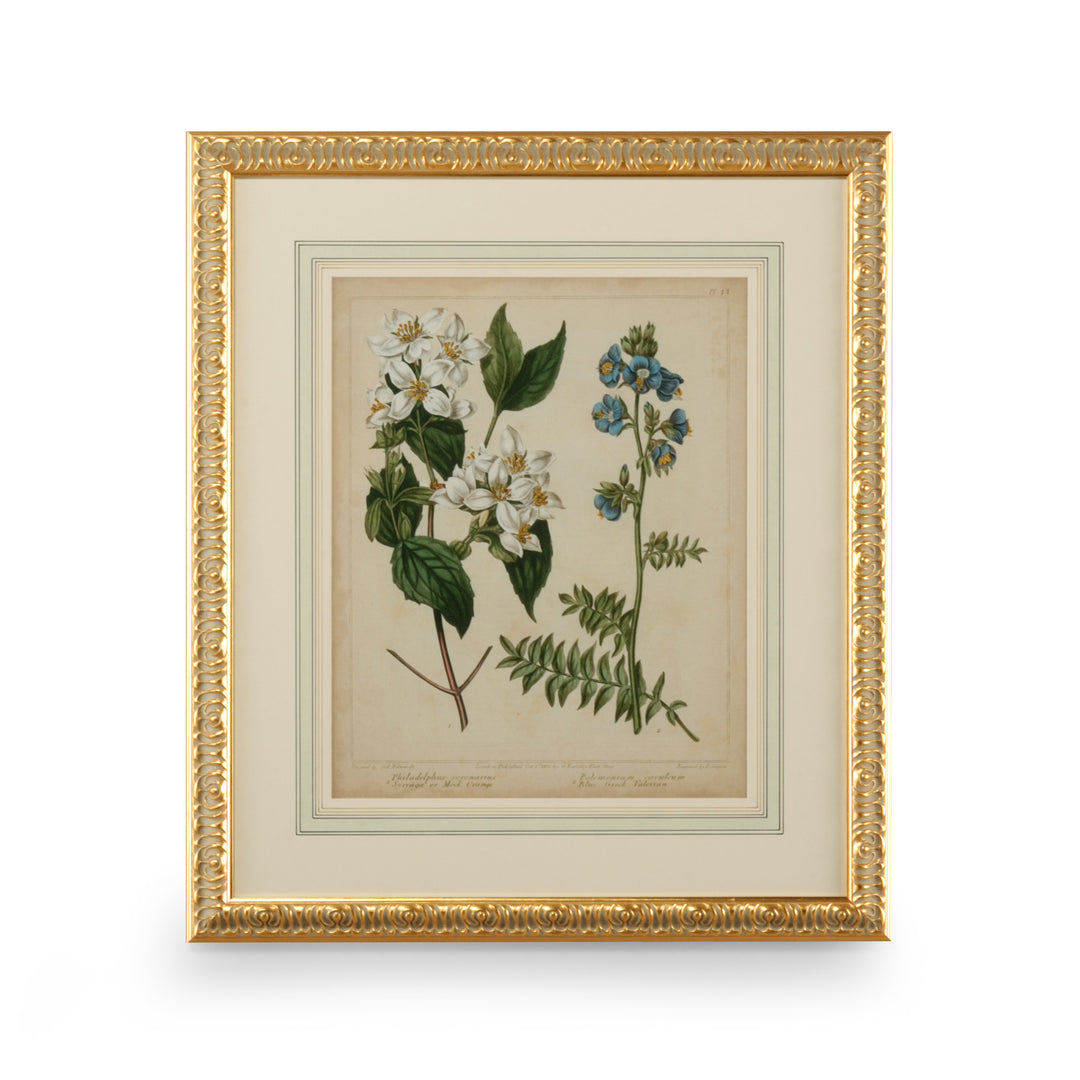 Cottage Florals I - 386236