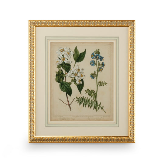 Cottage Florals I - 386236