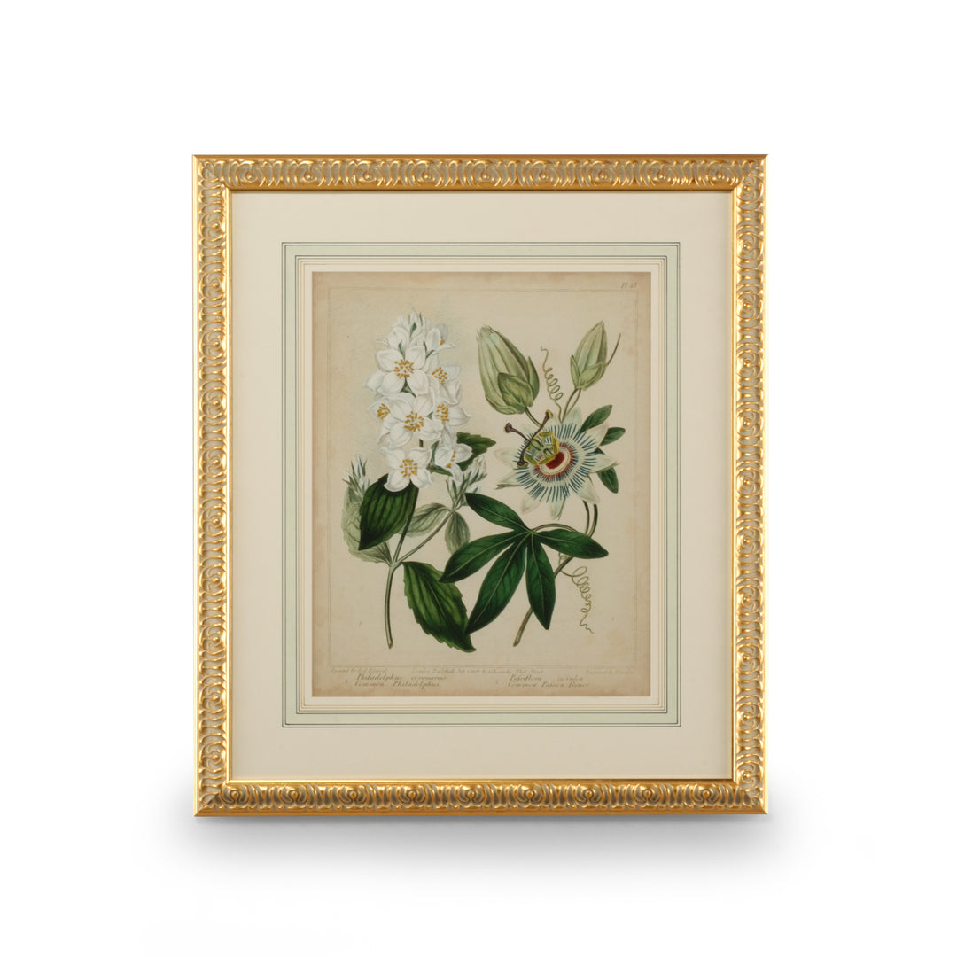 Cottage Florals II - 386237