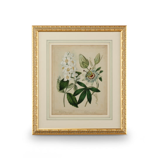 Cottage Florals II - 386237