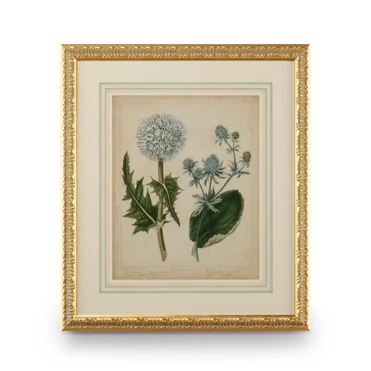 American Home Furniture Chelsea House Cottage Florals III
