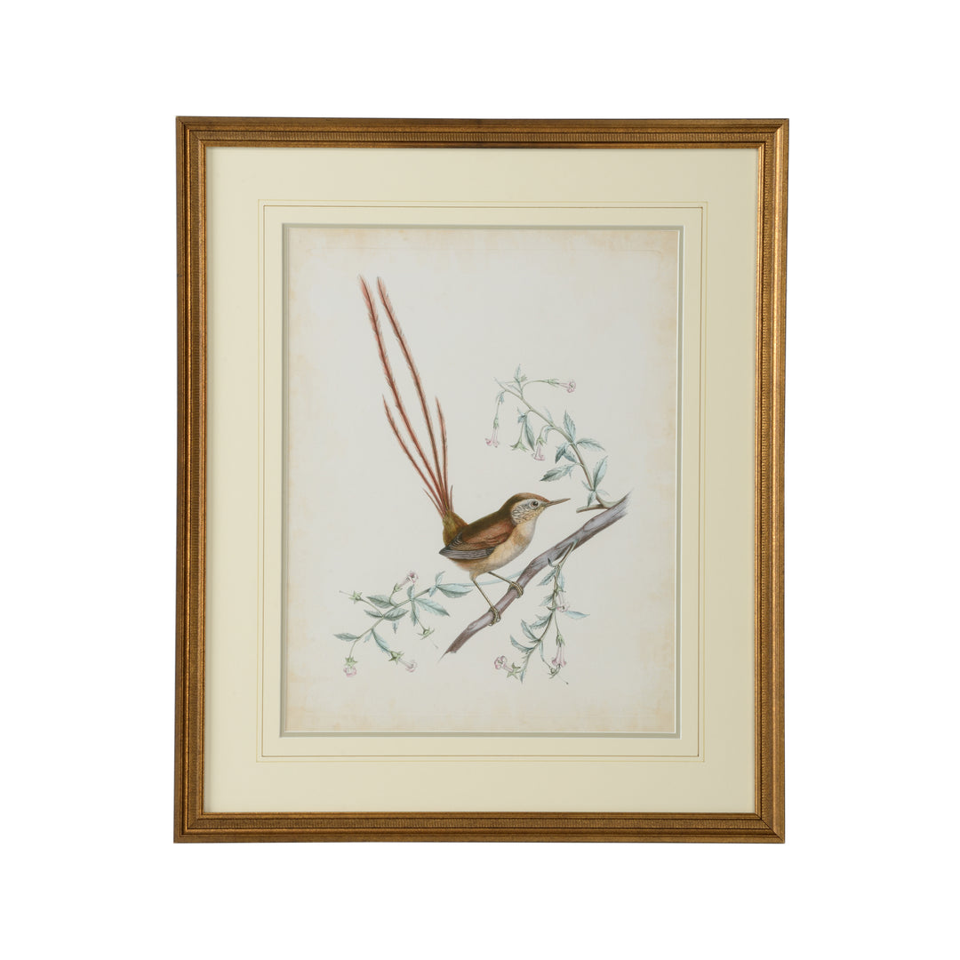 Delicate Birds I - 386342