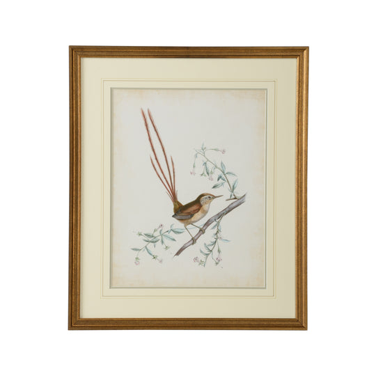 Delicate Birds I - 386342