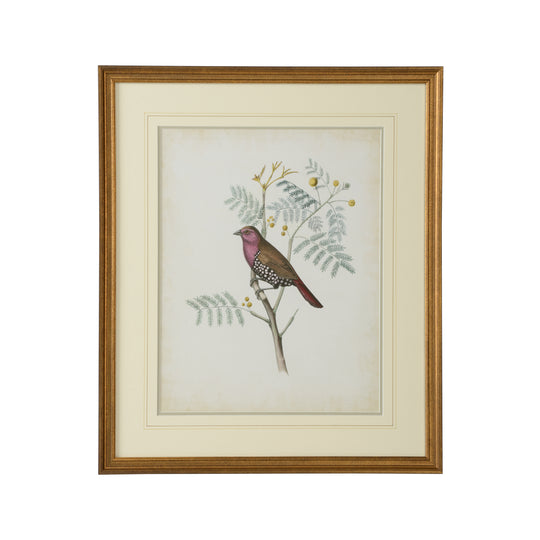 Delicate Birds II - 386343