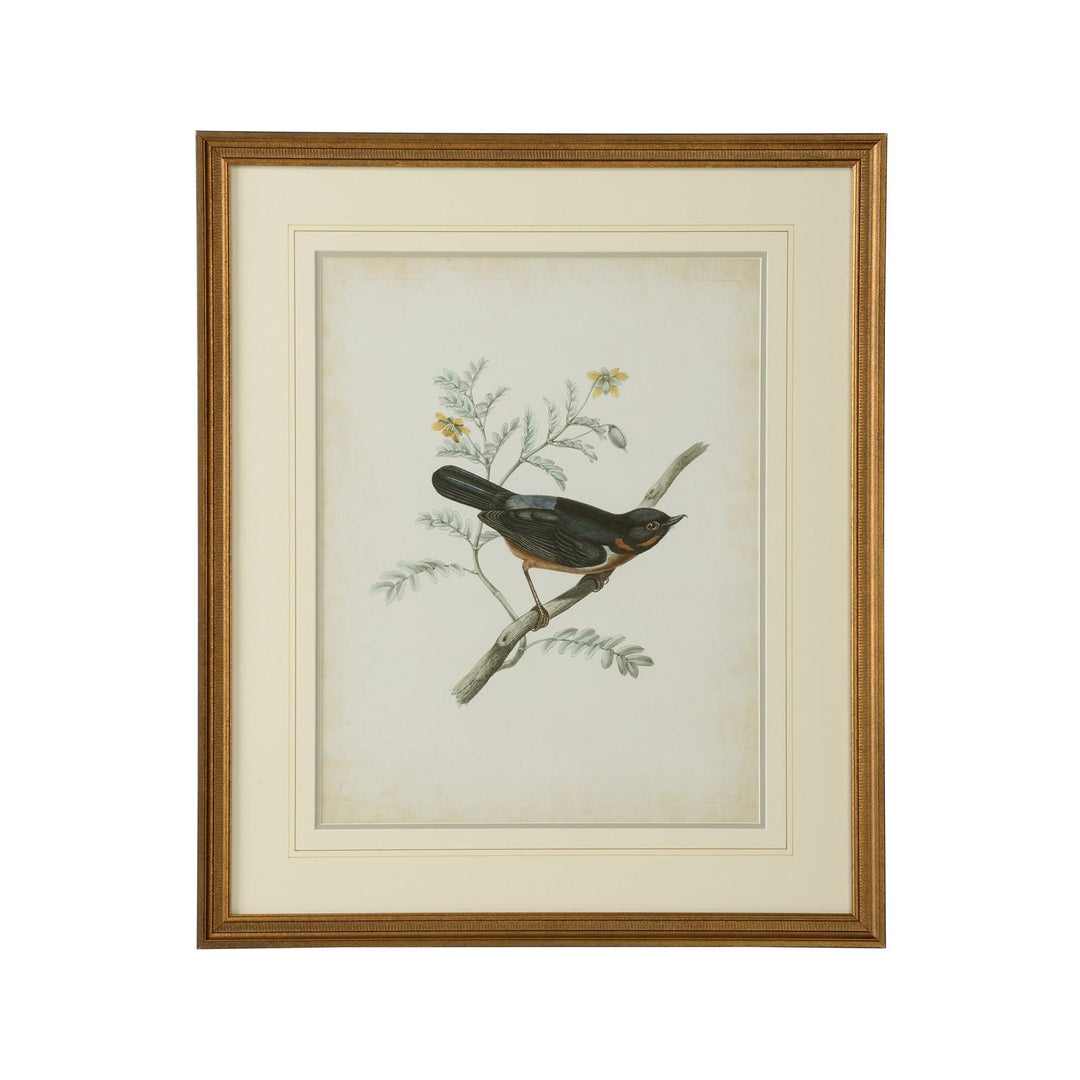 Delicate Birds III - 386344