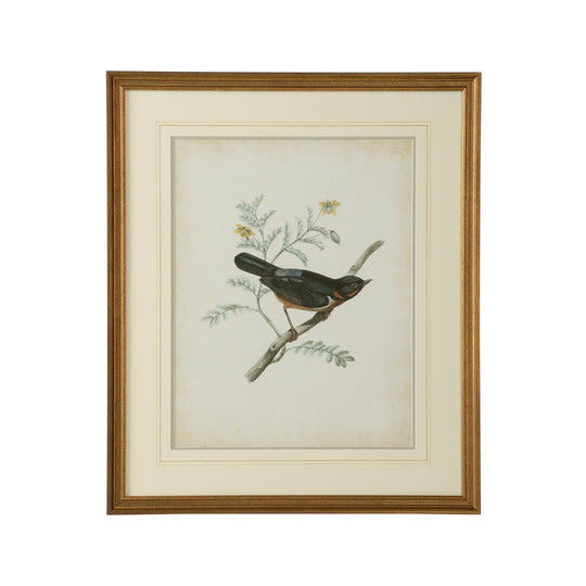 Delicate Birds III - 386344