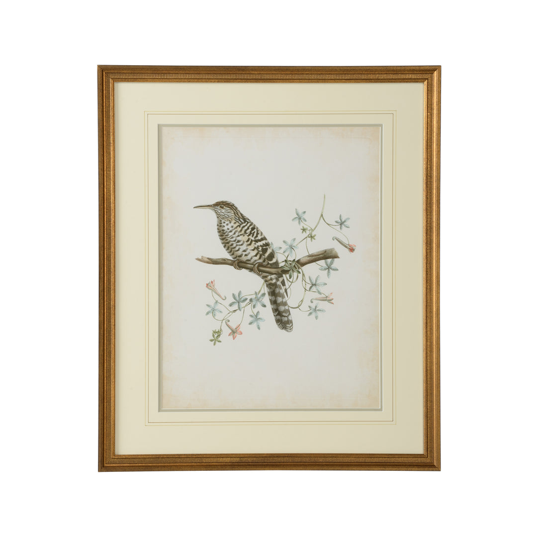 Delicate Birds IV - 386345