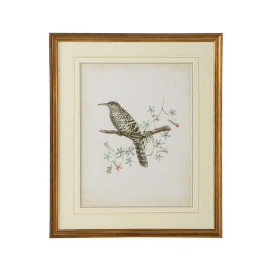 Delicate Birds IV - 386345