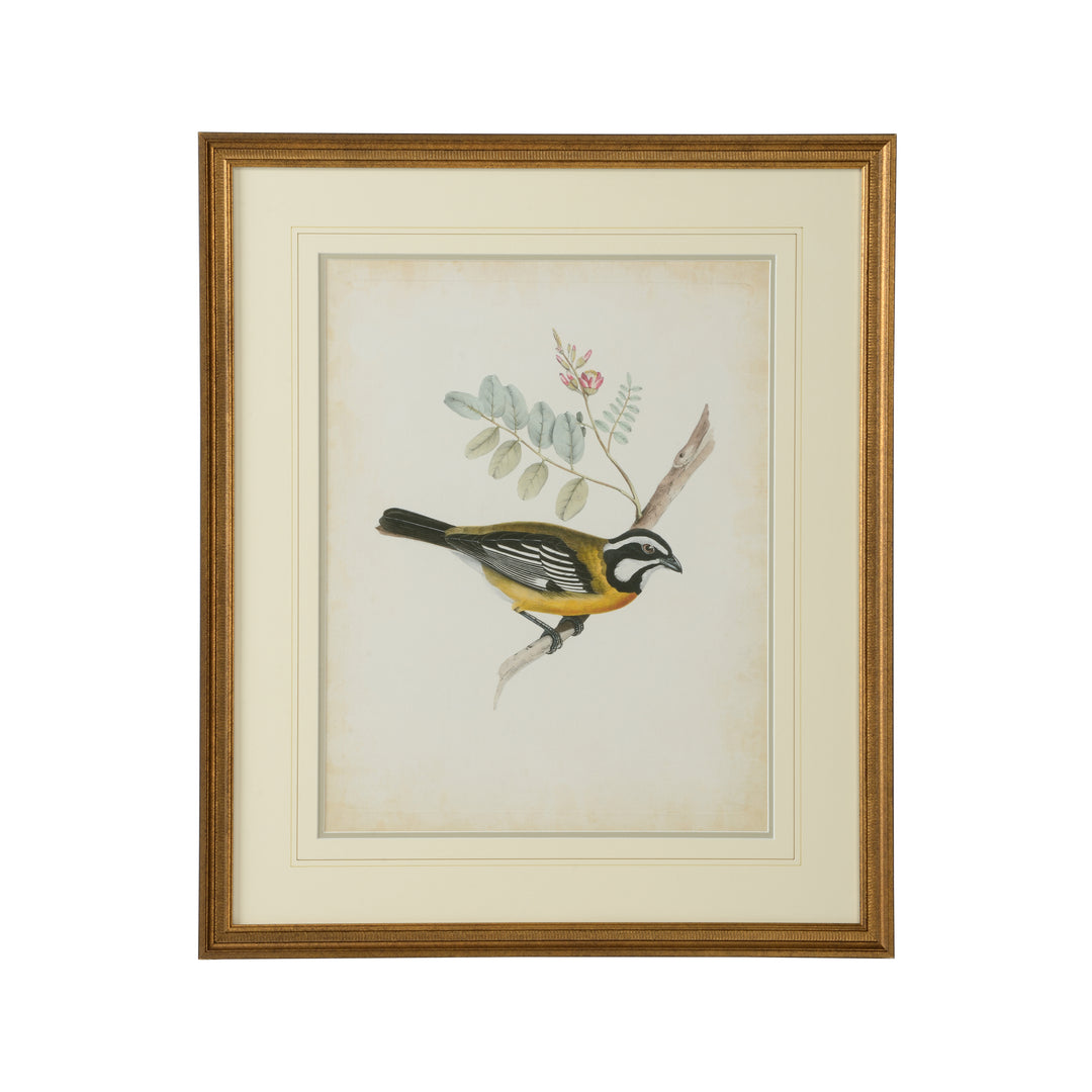 Delicate Birds V - 386346