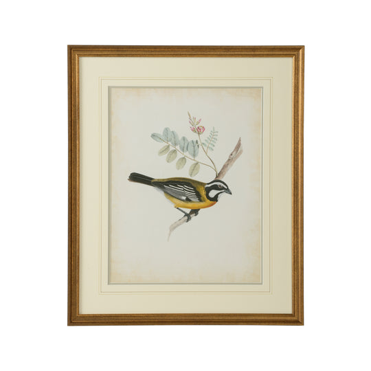 Delicate Birds V - 386346