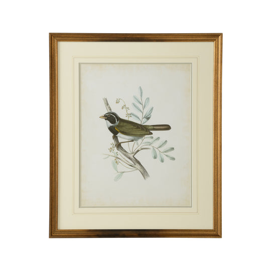 Delicate Birds VI - 386347