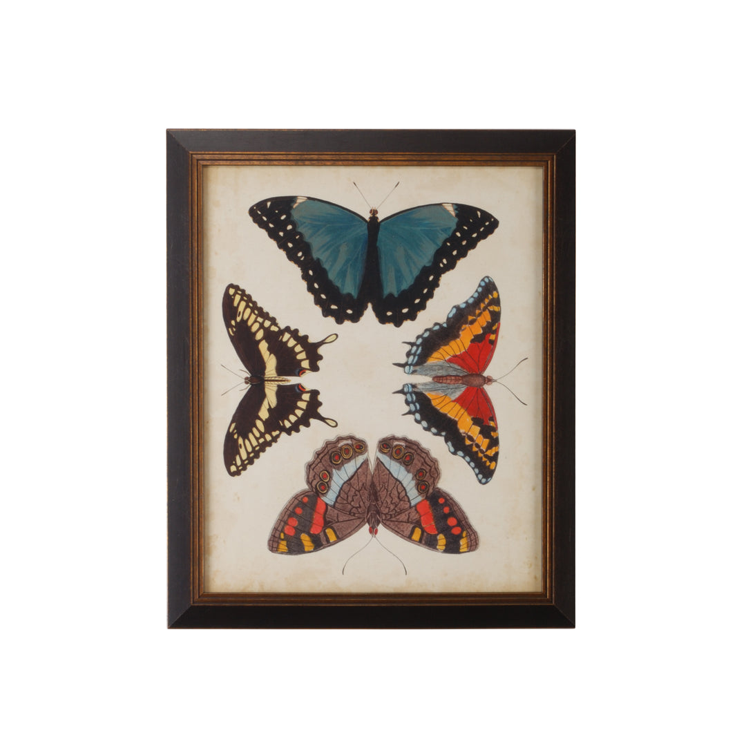 Display Of Butterflies I - 386515