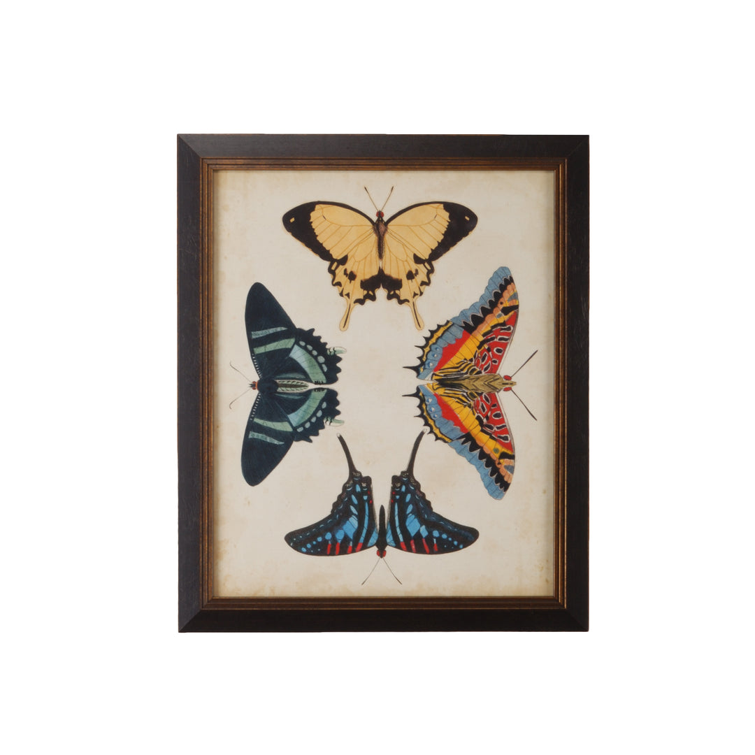 Display Of Butterflies III - 386517