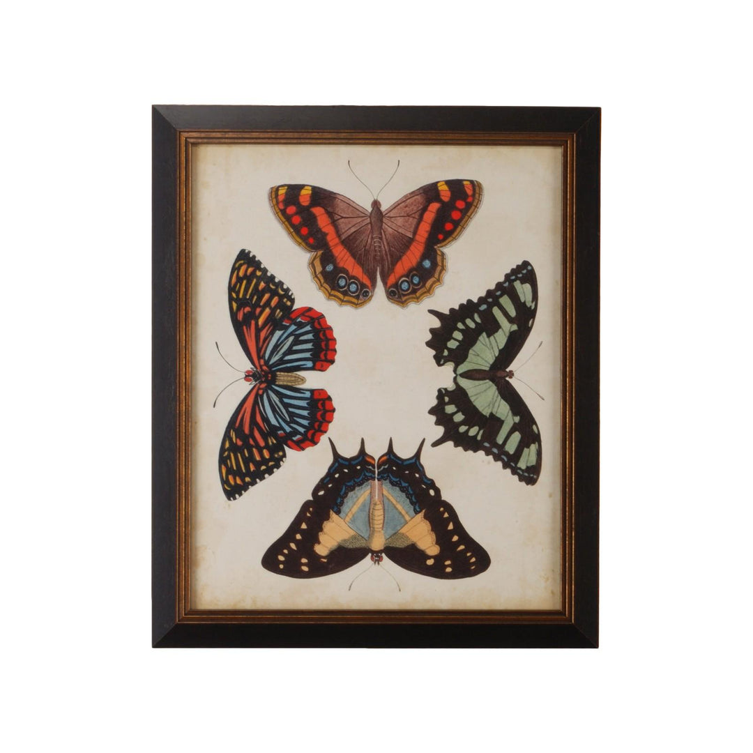 Display Of Butterflies IV - 386518