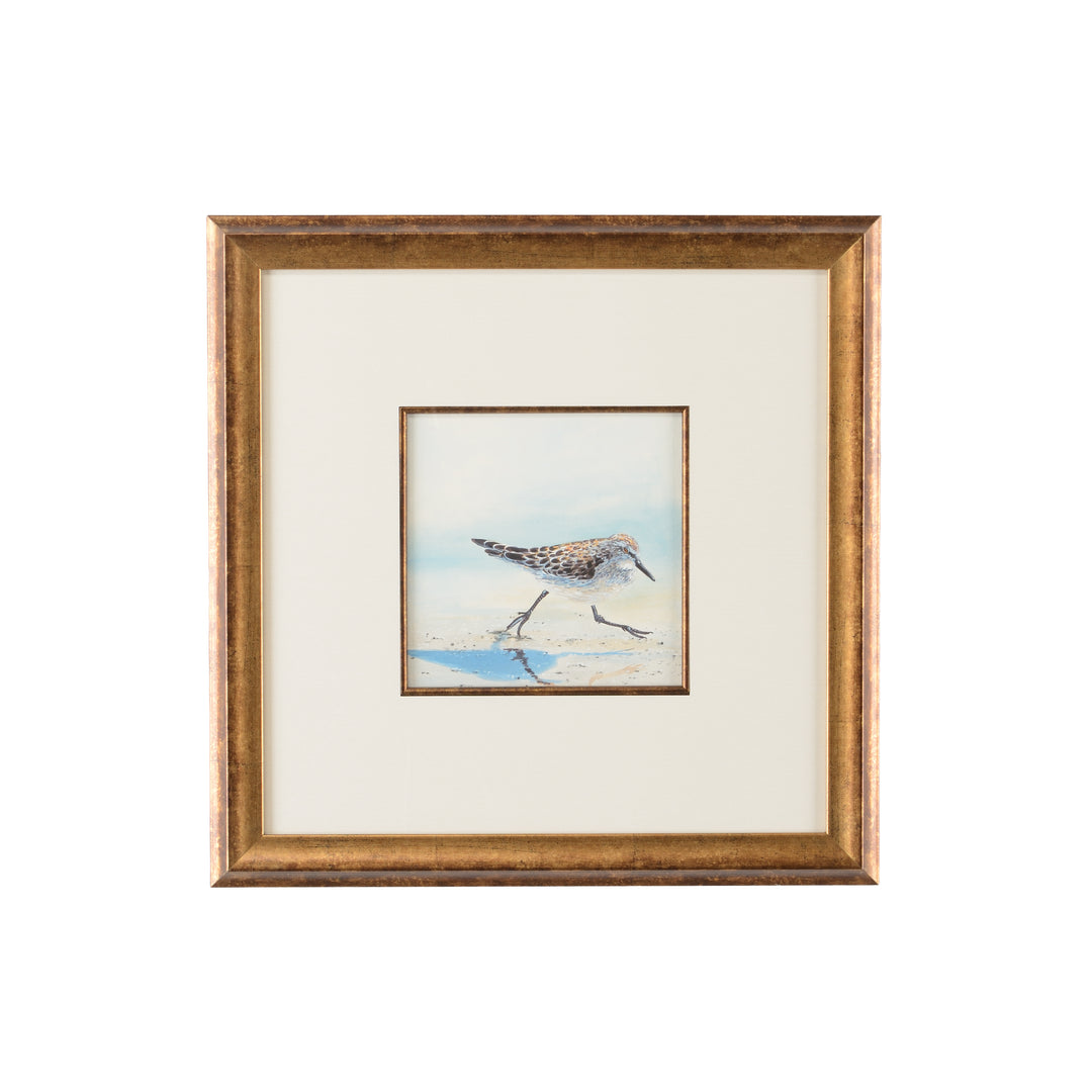 Sand Piper IV - 386548