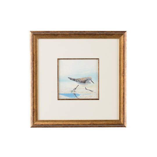Sand Piper IV - 386548