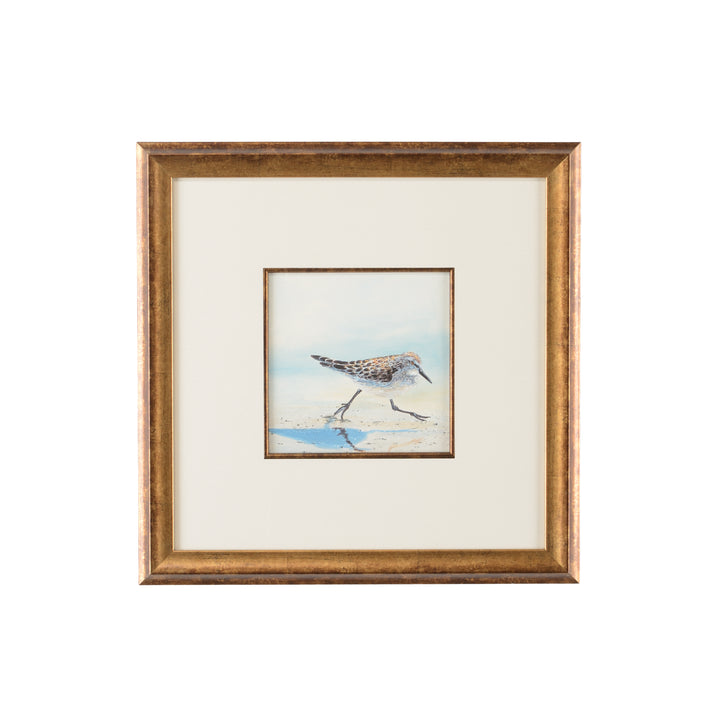 Sand Piper IV - 386548