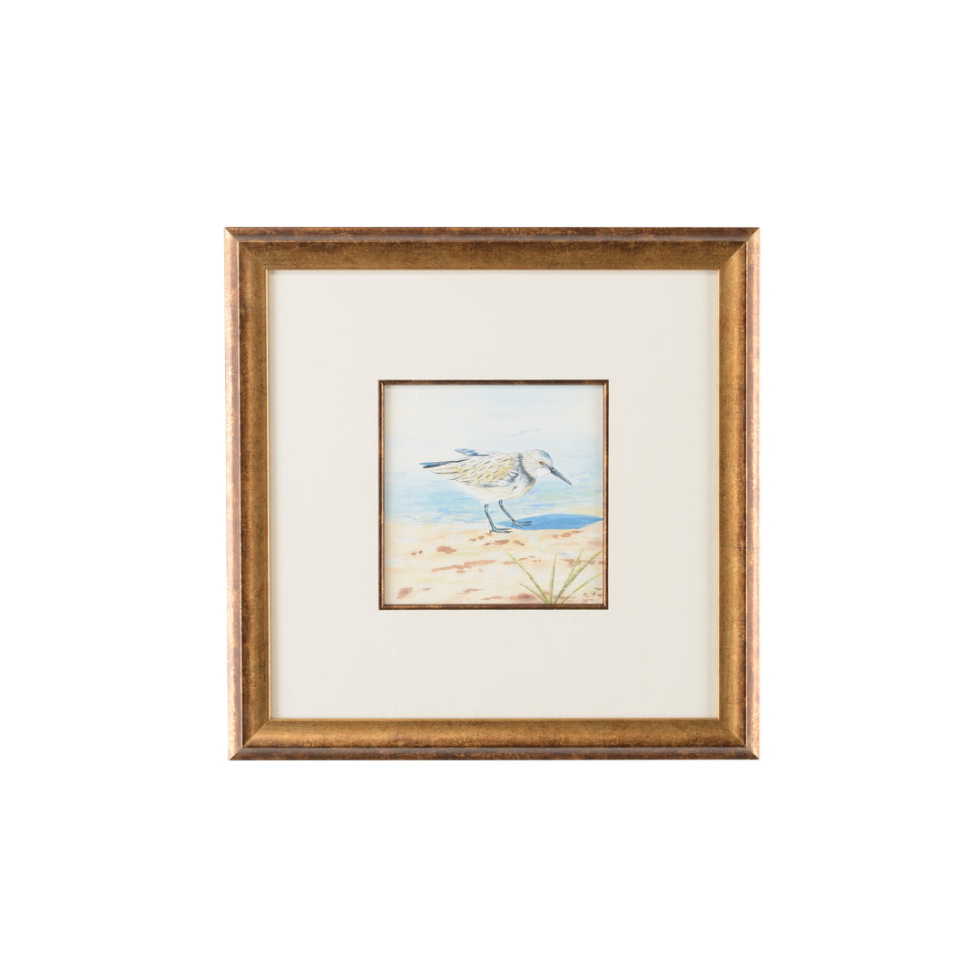 Sand Piper VI - 386550