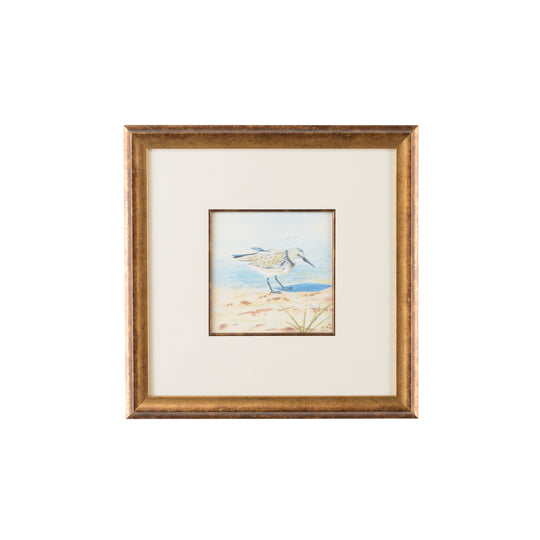 Sand Piper VI - 386550