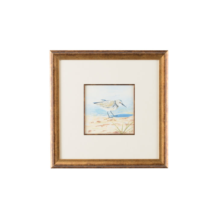 Sand Piper VI - 386550