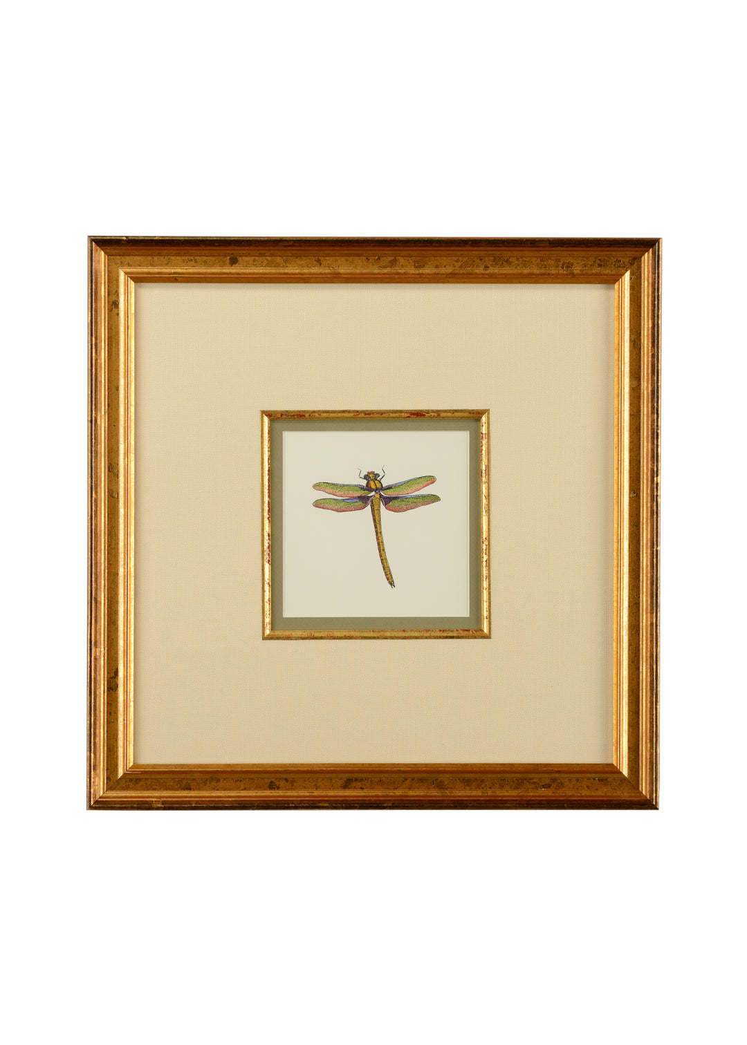 Miniature Dragonfly I - 386608