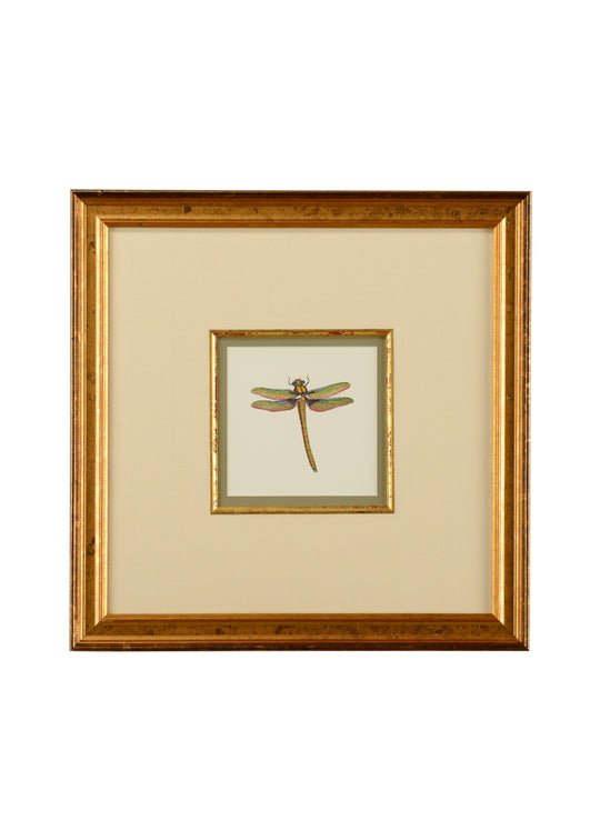 Miniature Dragonfly I - 386608