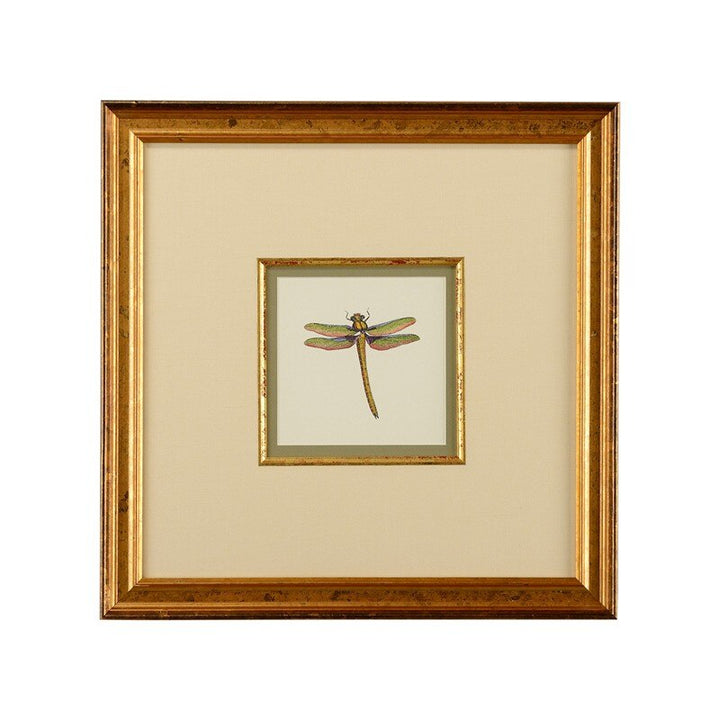 Miniature Dragonfly I - 386608