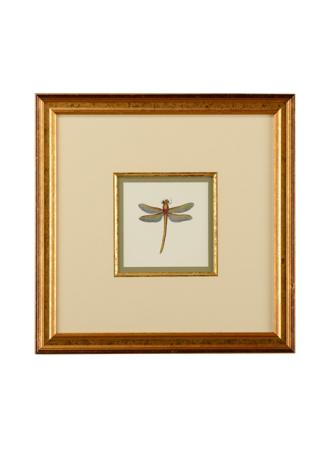 Miniature Dragonfly II - 386609