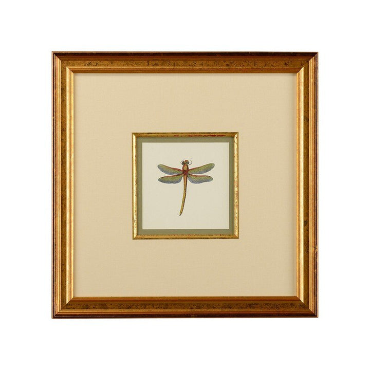 Miniature Dragonfly II - 386609