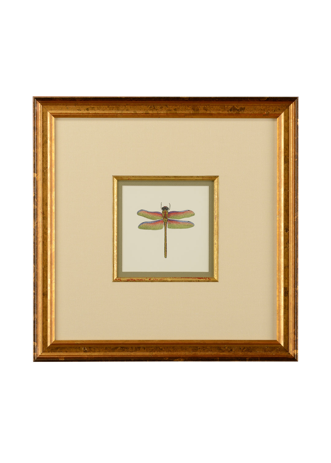 Miniature Dragonfly III - 386610