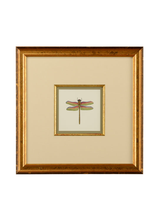 Miniature Dragonfly III - 386610
