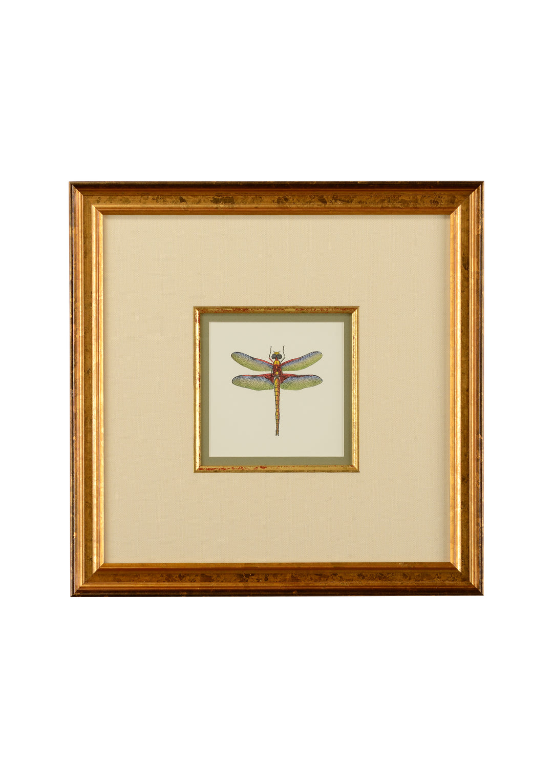 Miniature Dragonfly IV - 386611