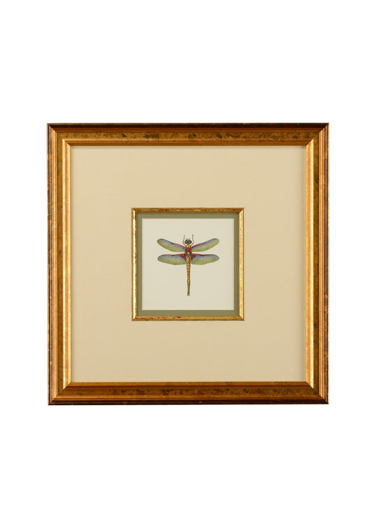 Miniature Dragonfly IV - 386611