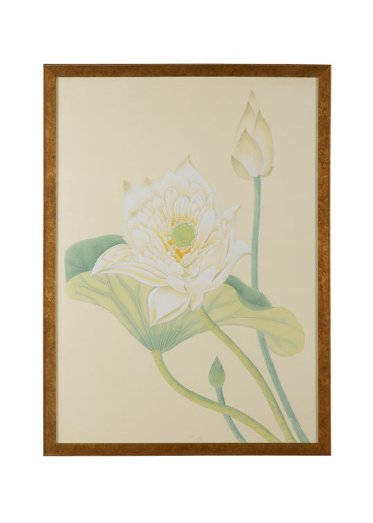 Lotus Panel - 386734