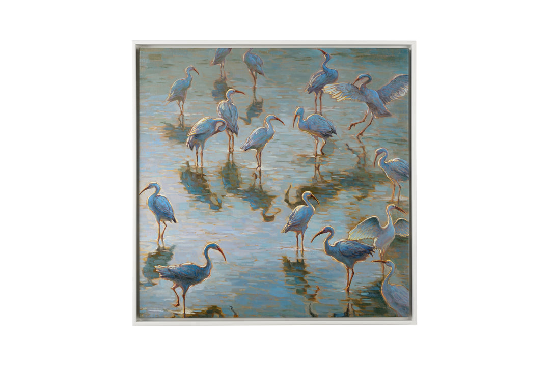 Shorebirds - 386822