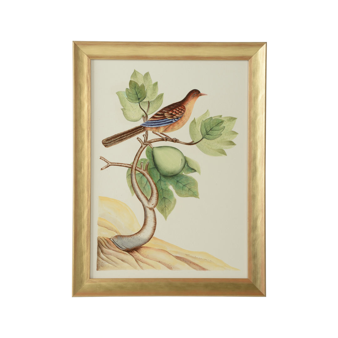 Watercolor Birds A - 387215