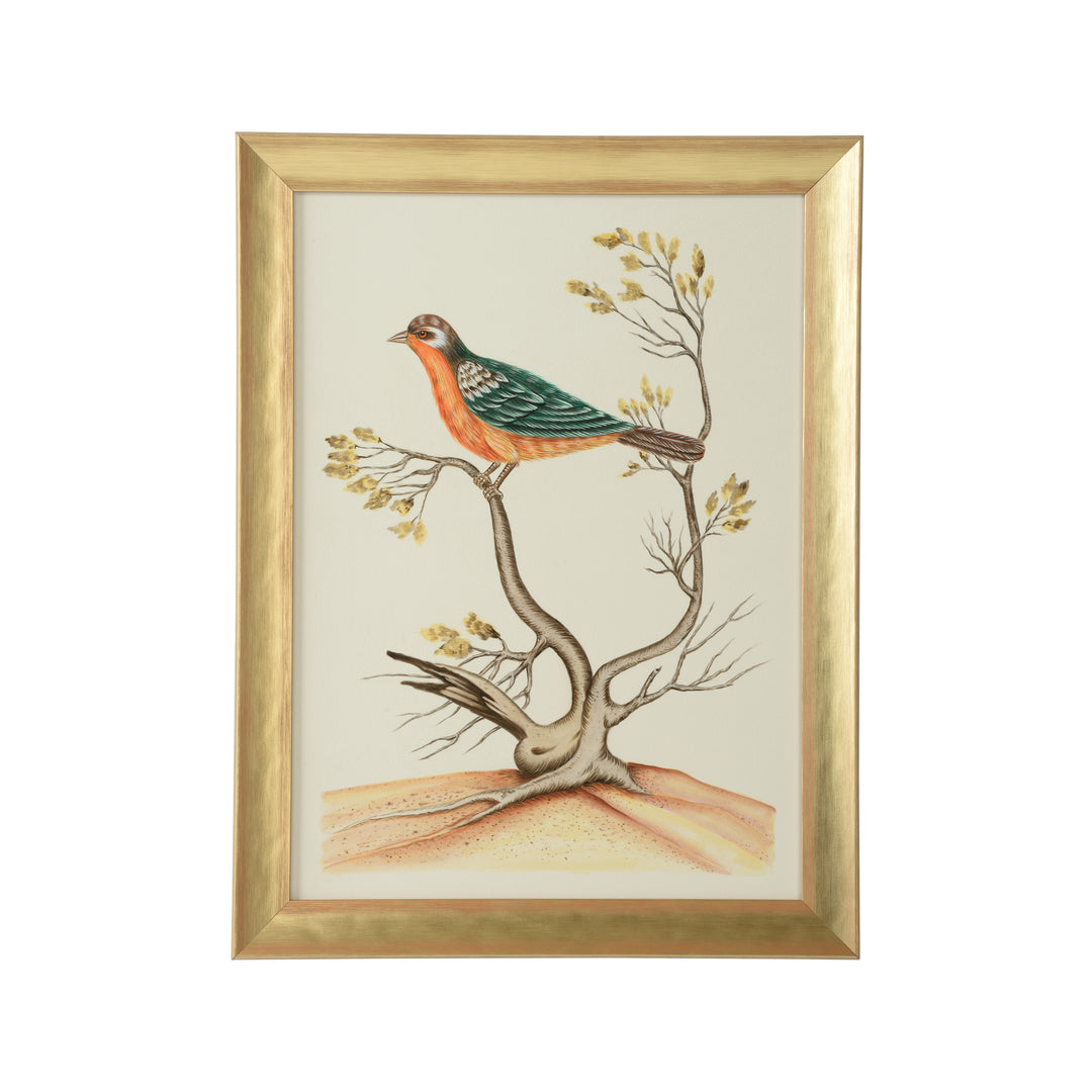 Watercolor Birds B - 387216