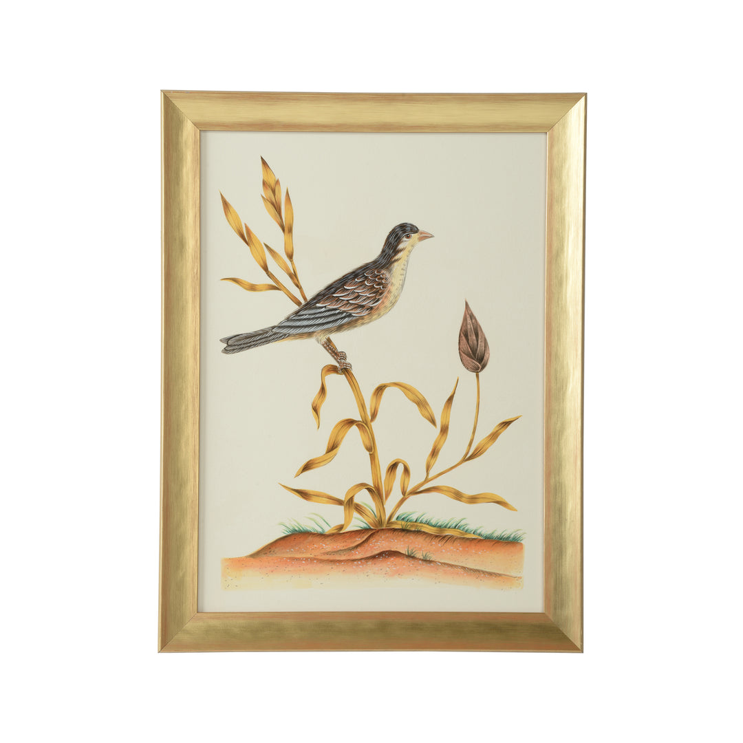 Watercolor Birds C - 387217