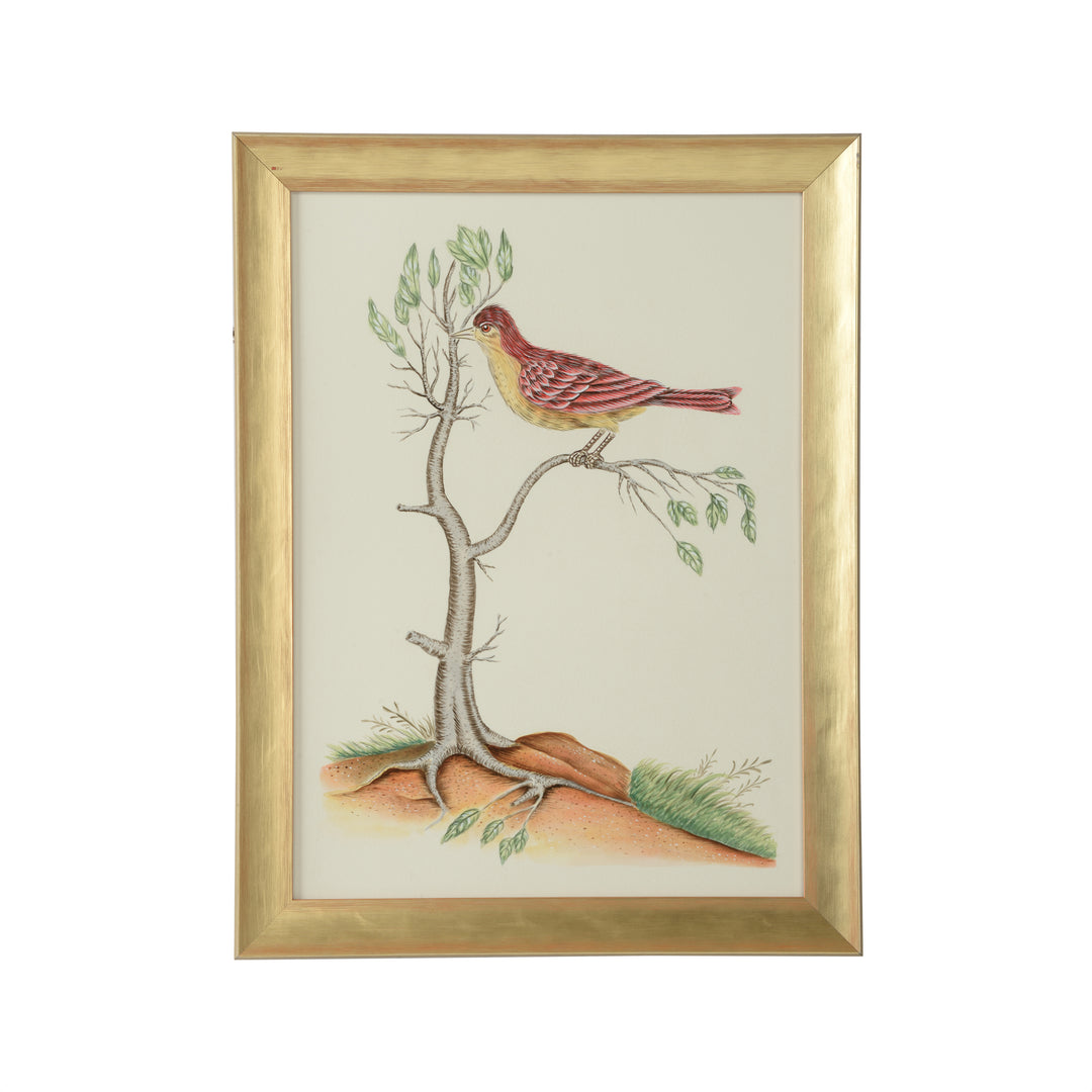 Watercolor Birds D - 387218
