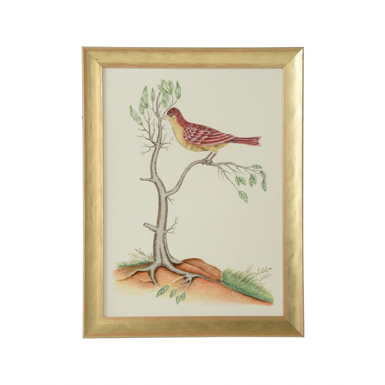 Watercolor Birds D - 387218