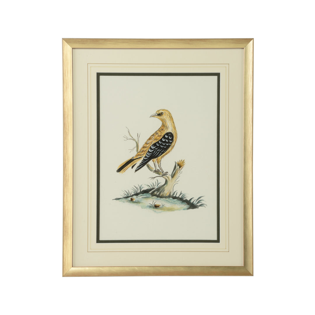 Cain Birds A - 387221
