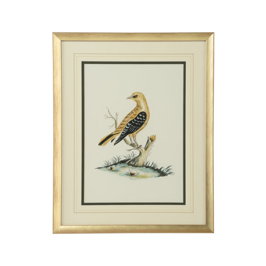 Cain Birds A - 387221