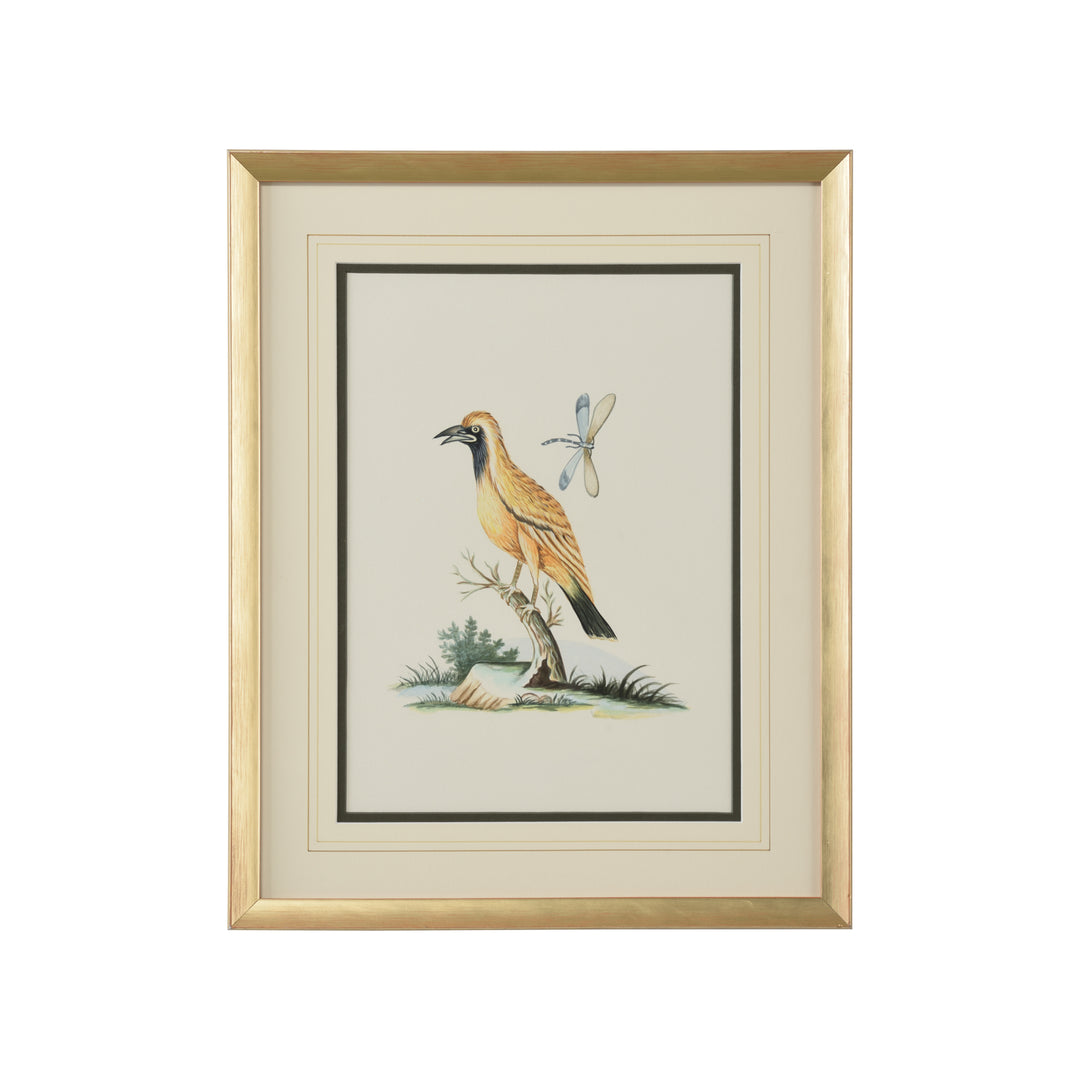 Cain Birds B - 387222