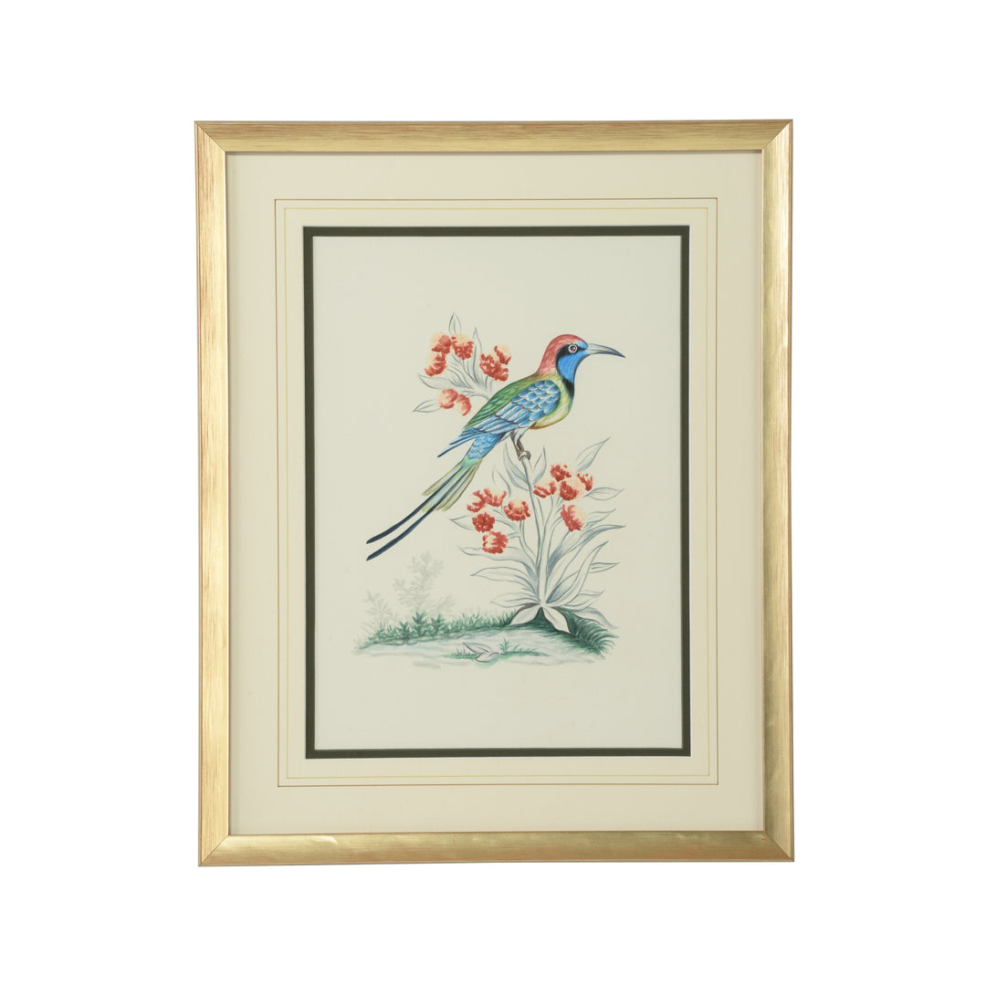Cain Birds C - 387223
