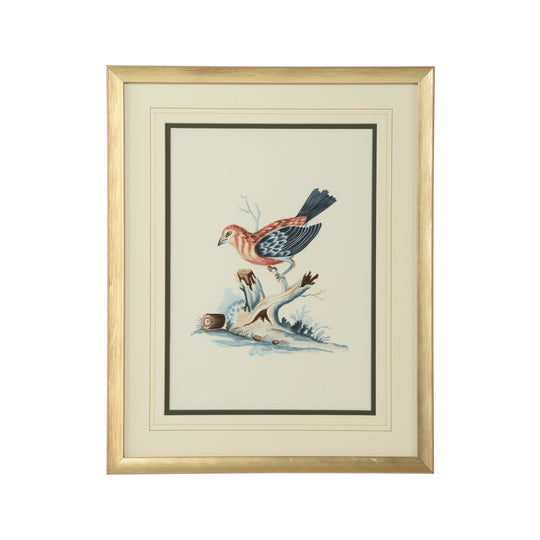 Cain Birds D - 387224