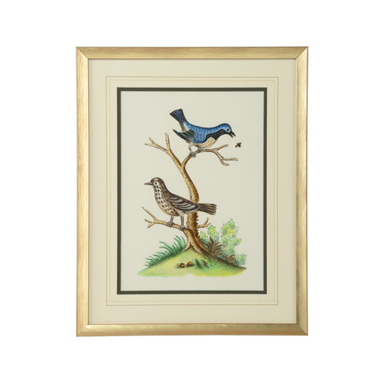 Cain Birds E - 387225