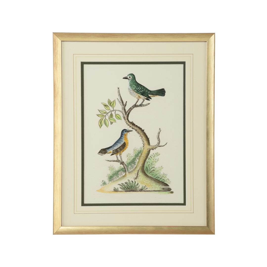 Cain Birds F - 387226