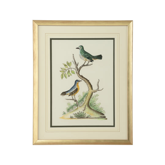 Cain Birds F - 387226