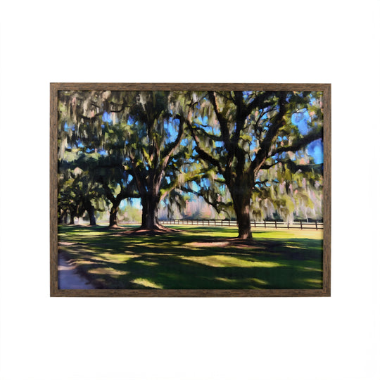 Old Oaks - 387238